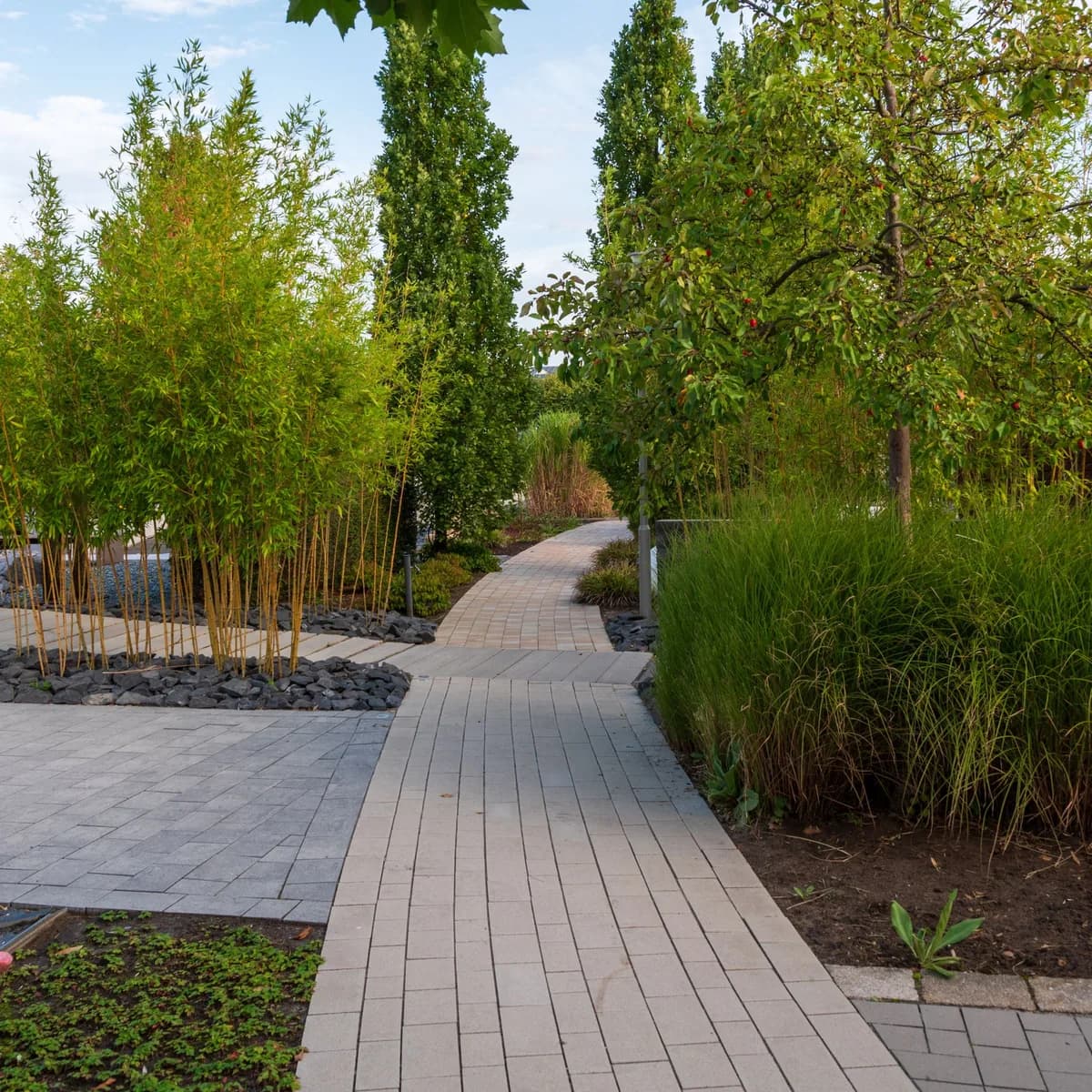 Paver Driveway & Border — Pavers