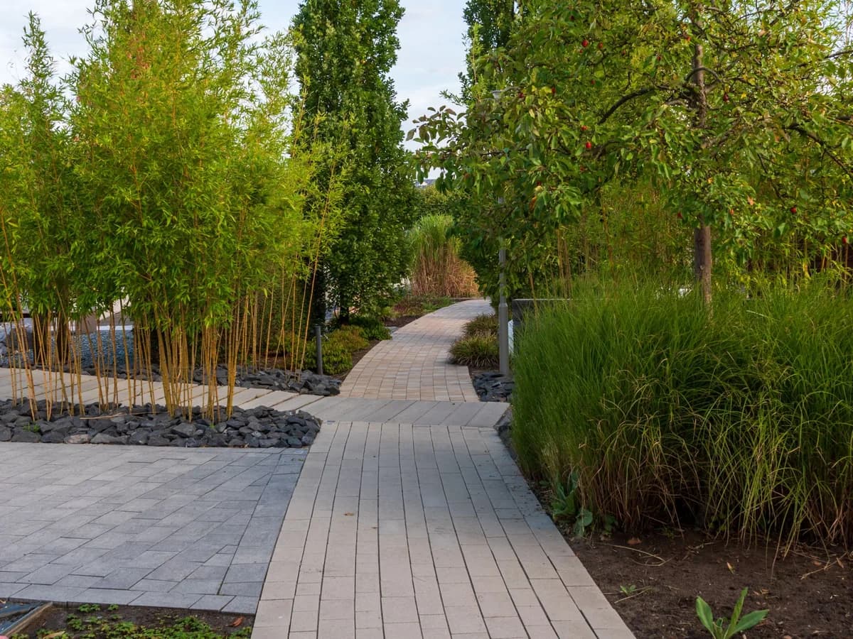 Walkways — Durable, welcoming paths and entryways in paver, stone, or concrete.
