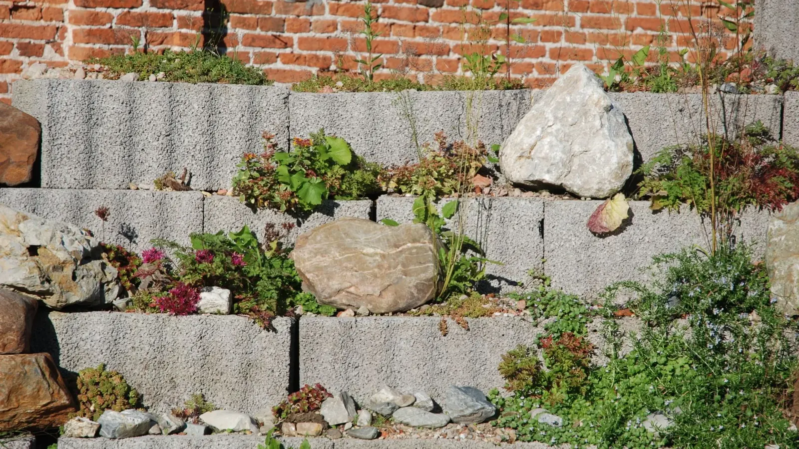 Stone retaining wall shaping a sloped landscape